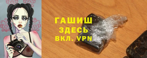 СК Сосновый Бор