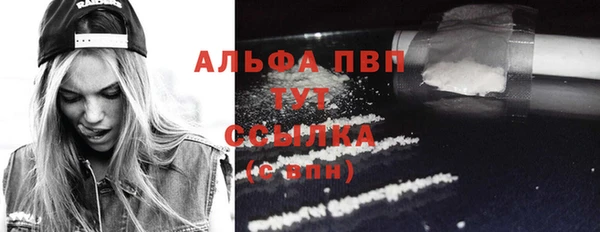 СК Сосновый Бор