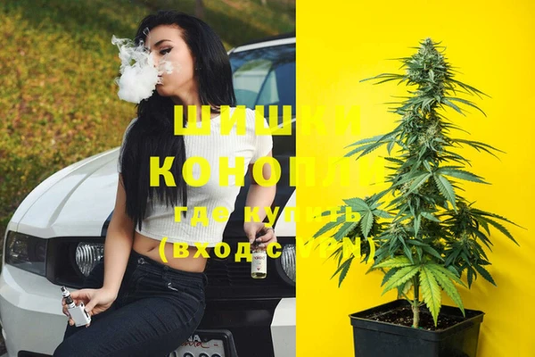 марки lsd Бородино