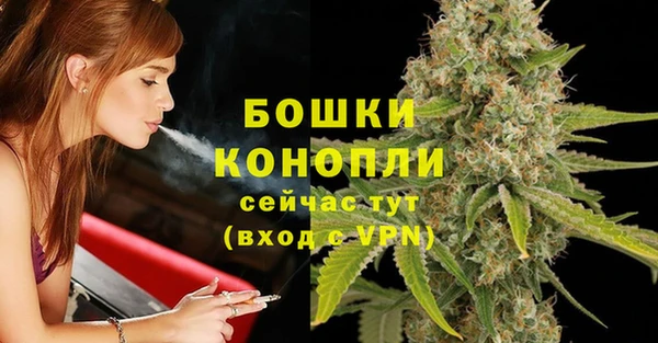 СК Сосновый Бор