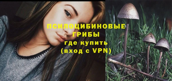 стаф Сосновка