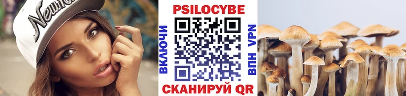 Галлюциногенные грибы Psilocybe  Выборг 