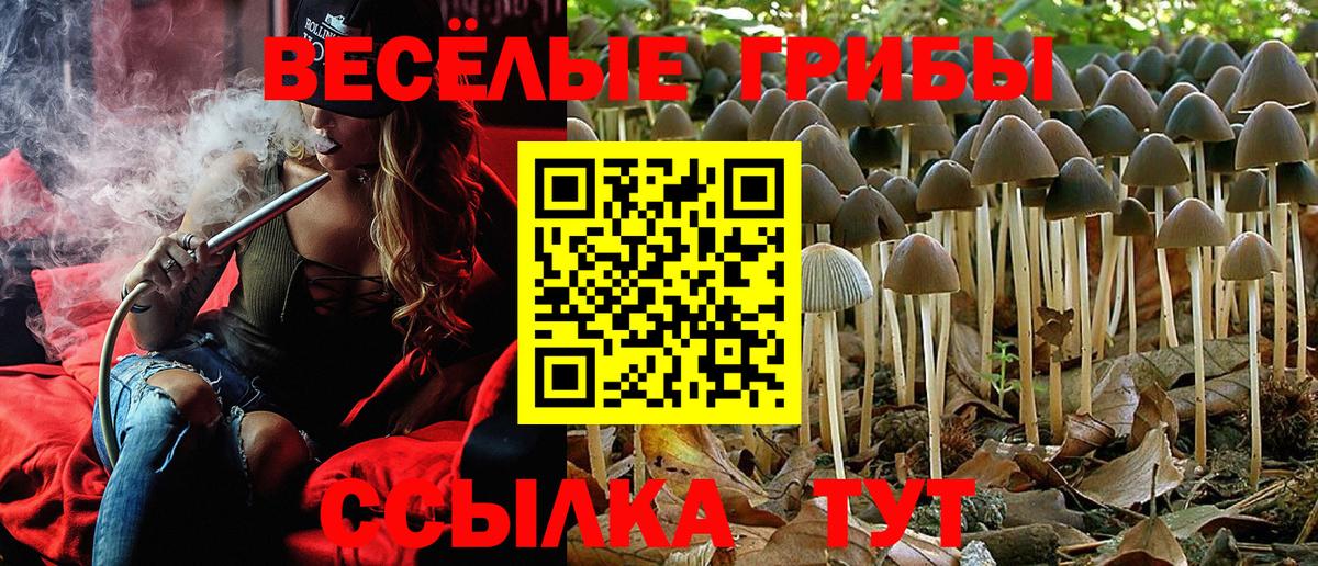 Галлюциногенные грибы Magic Shrooms  Вход с VPN  где найти   Выборг  Псилоцибиновые грибы Magic Shrooms 